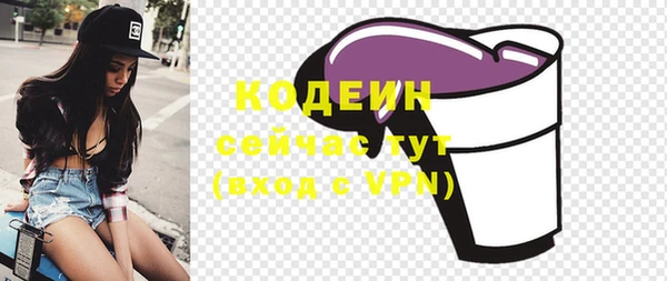 индика Дмитров