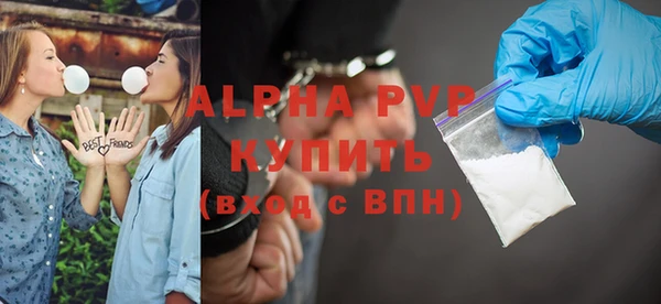 индика Дмитров