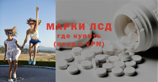 индика Дмитров