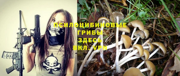 индика Дмитров