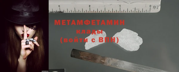 индика Дмитров