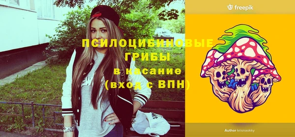 apvp Дмитровск