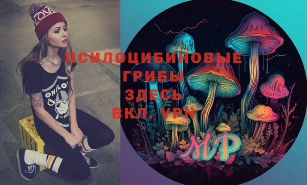 индика Дмитров