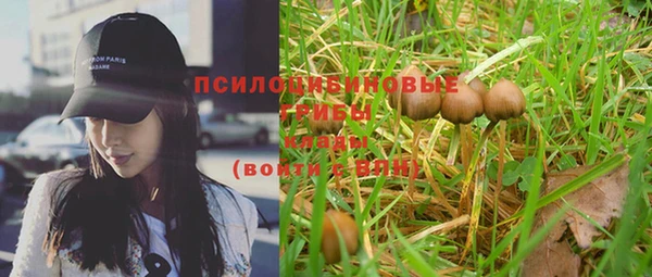 PSILOCYBIN Дмитриев