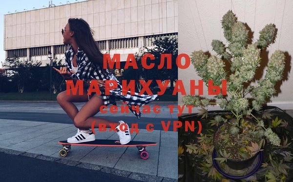 индика Дмитров