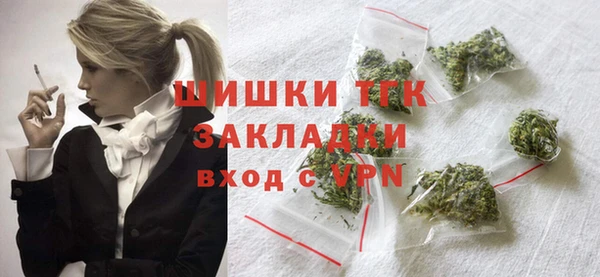 PSILOCYBIN Дмитриев