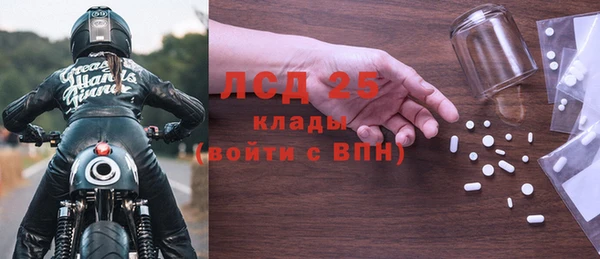 PSILOCYBIN Дмитриев