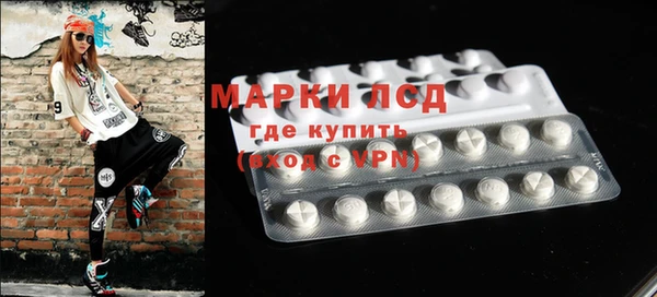 дмт Гусев