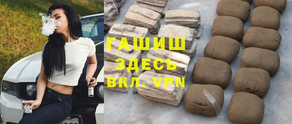 индика Дмитров