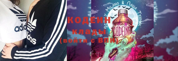 индика Дмитров
