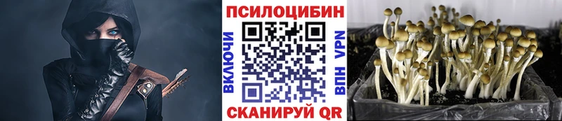 Псилоцибиновые грибы ЛСД  Южа 