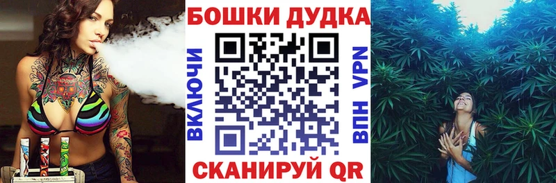 Шишки марихуана планчик  Южа 